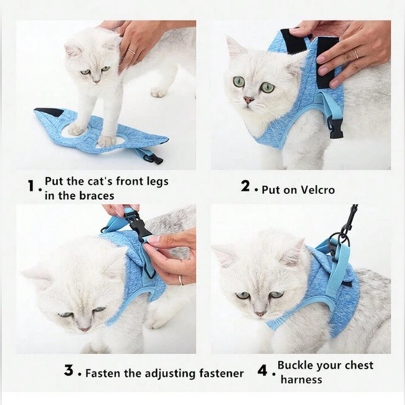 Cat harness and leash also for rabbit - Picture 15 of 15